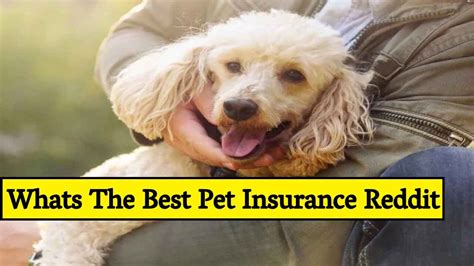 good pet insurance reddit
